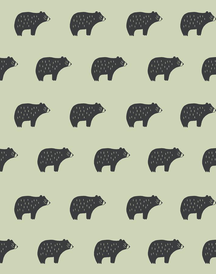 black bear cubs wallpaper