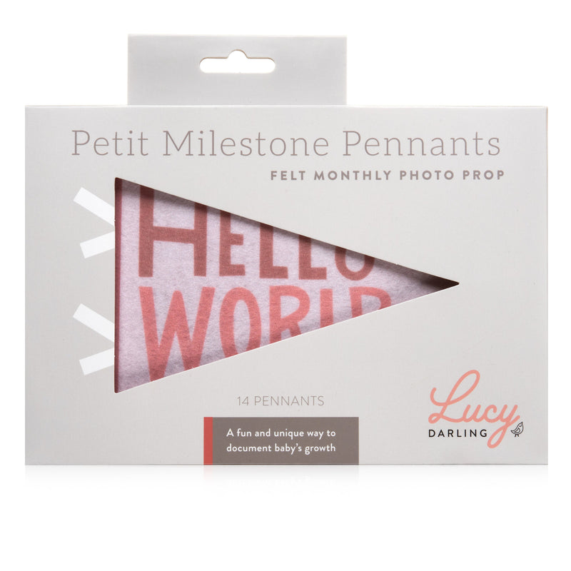 Blushing Meadow Petit Milestone Pennants