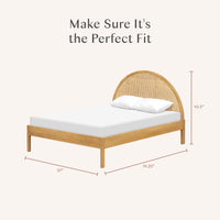 Bondi Cane Full Bed