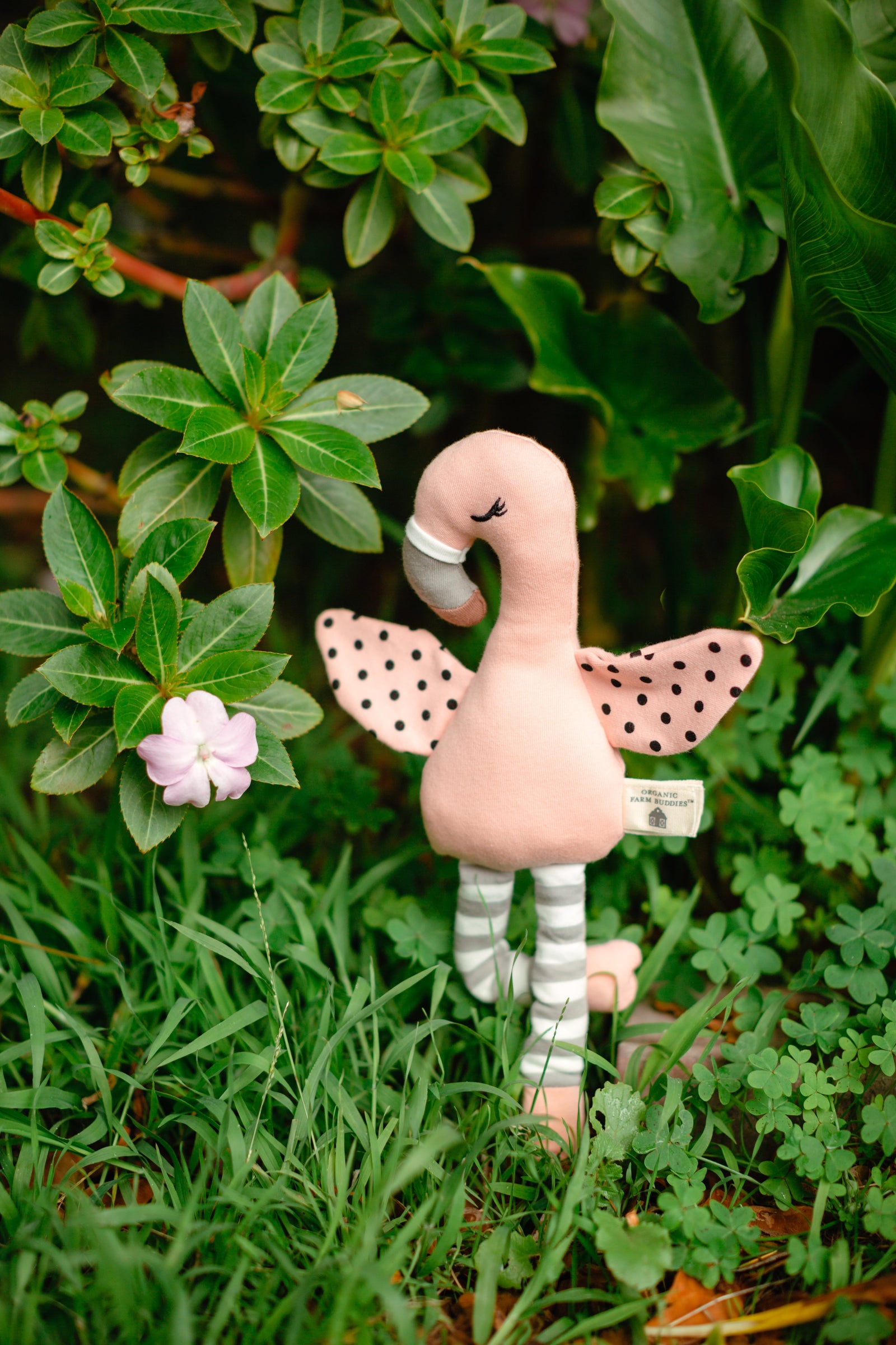 Franny Flamingo Plush Toy