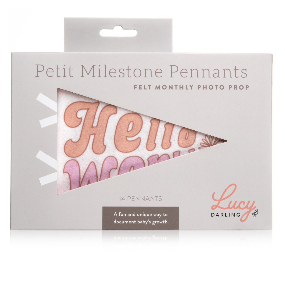 Flower Child Petit Milestone Pennants