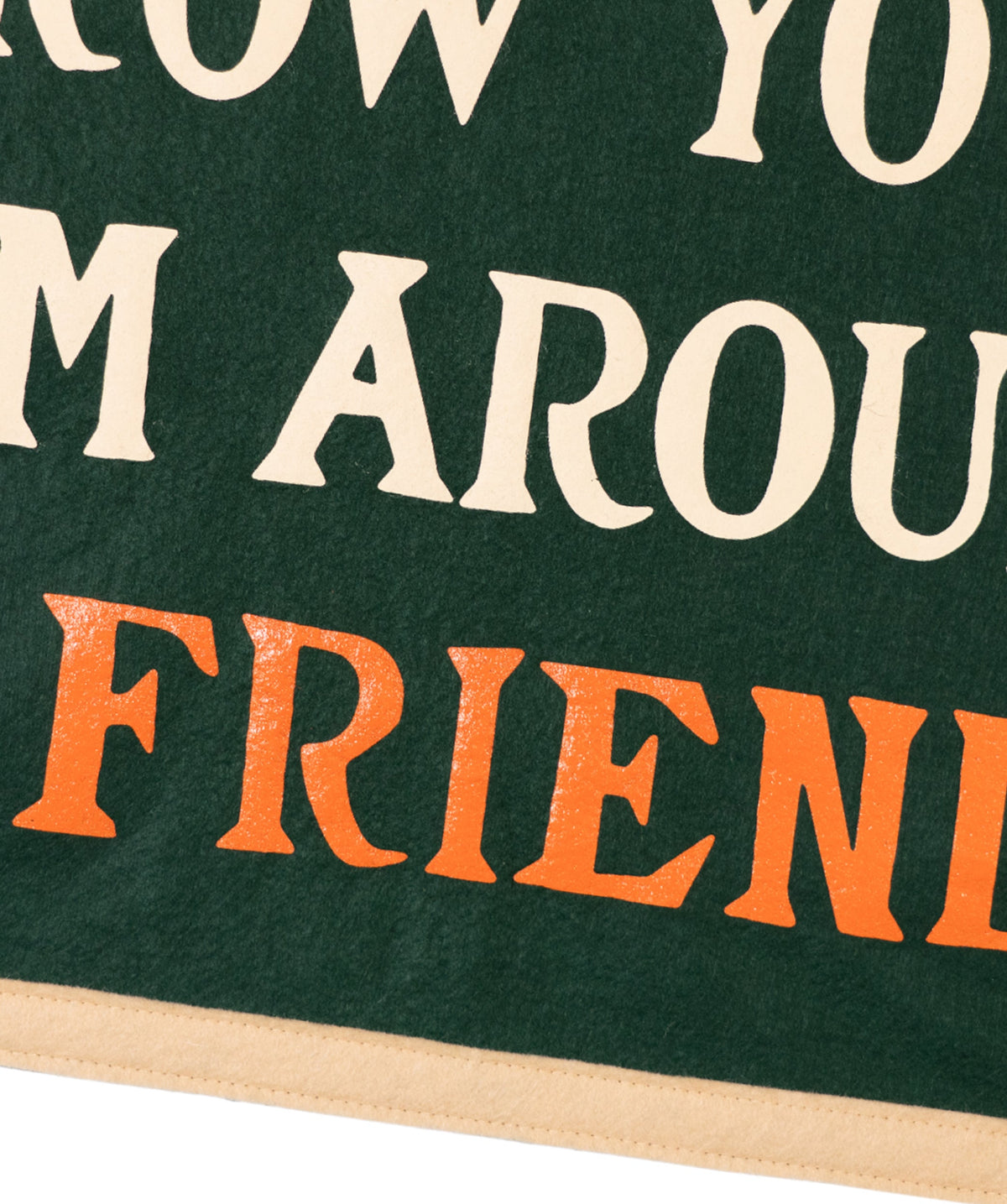 Throw Your Arm Around a Friend Camp Flag