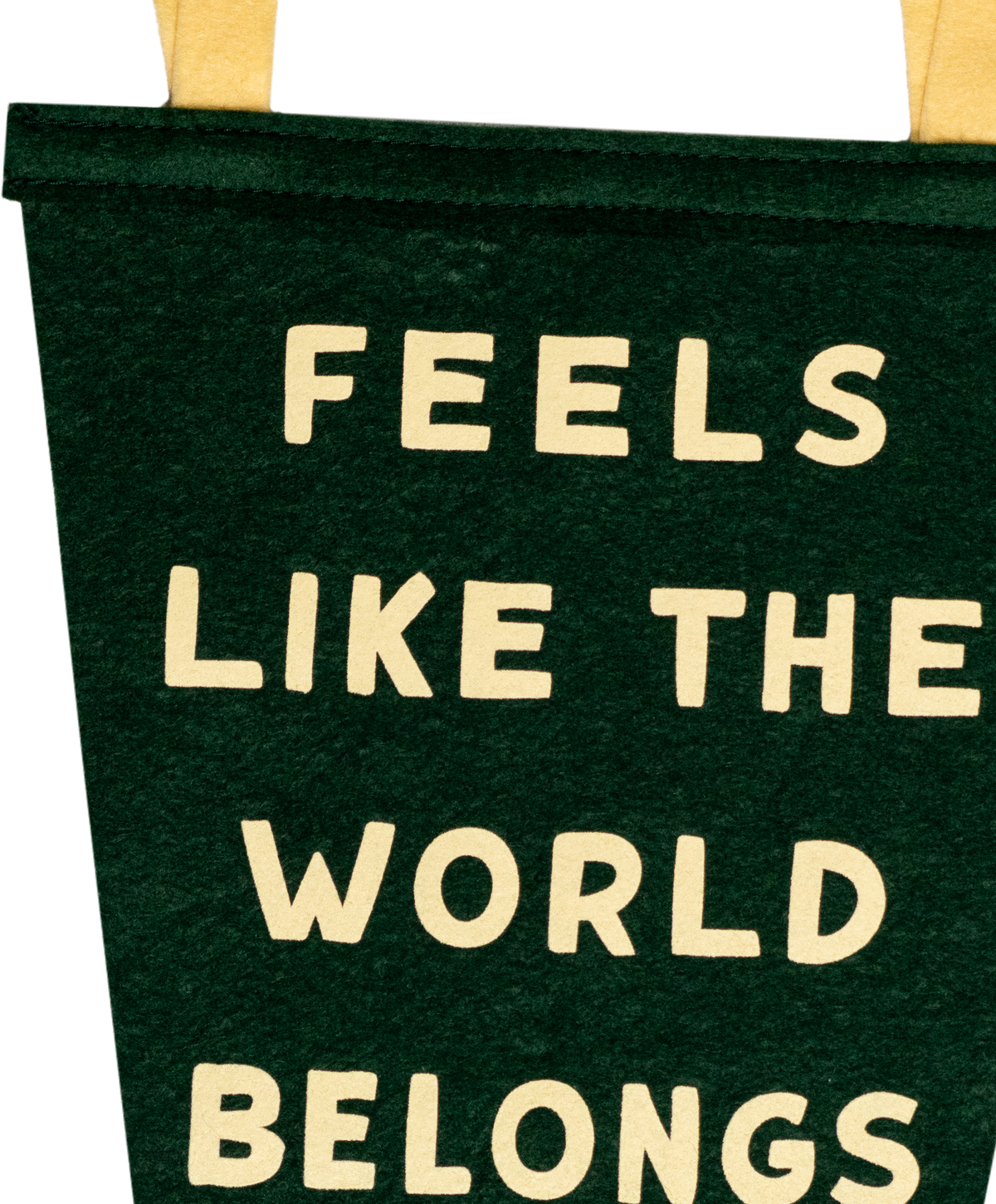 Feels Like the World Belongs to You + Me Fishtail Pennant