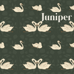 Juniper