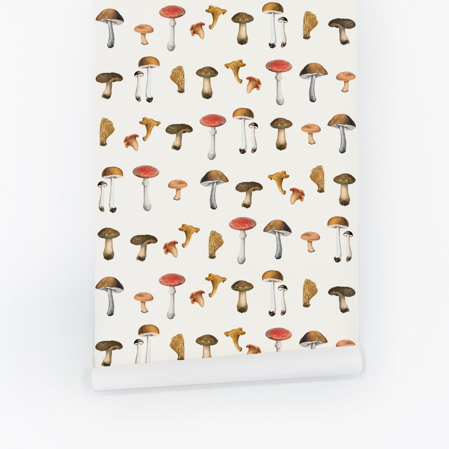 Wild Mushrooms Wallpaper