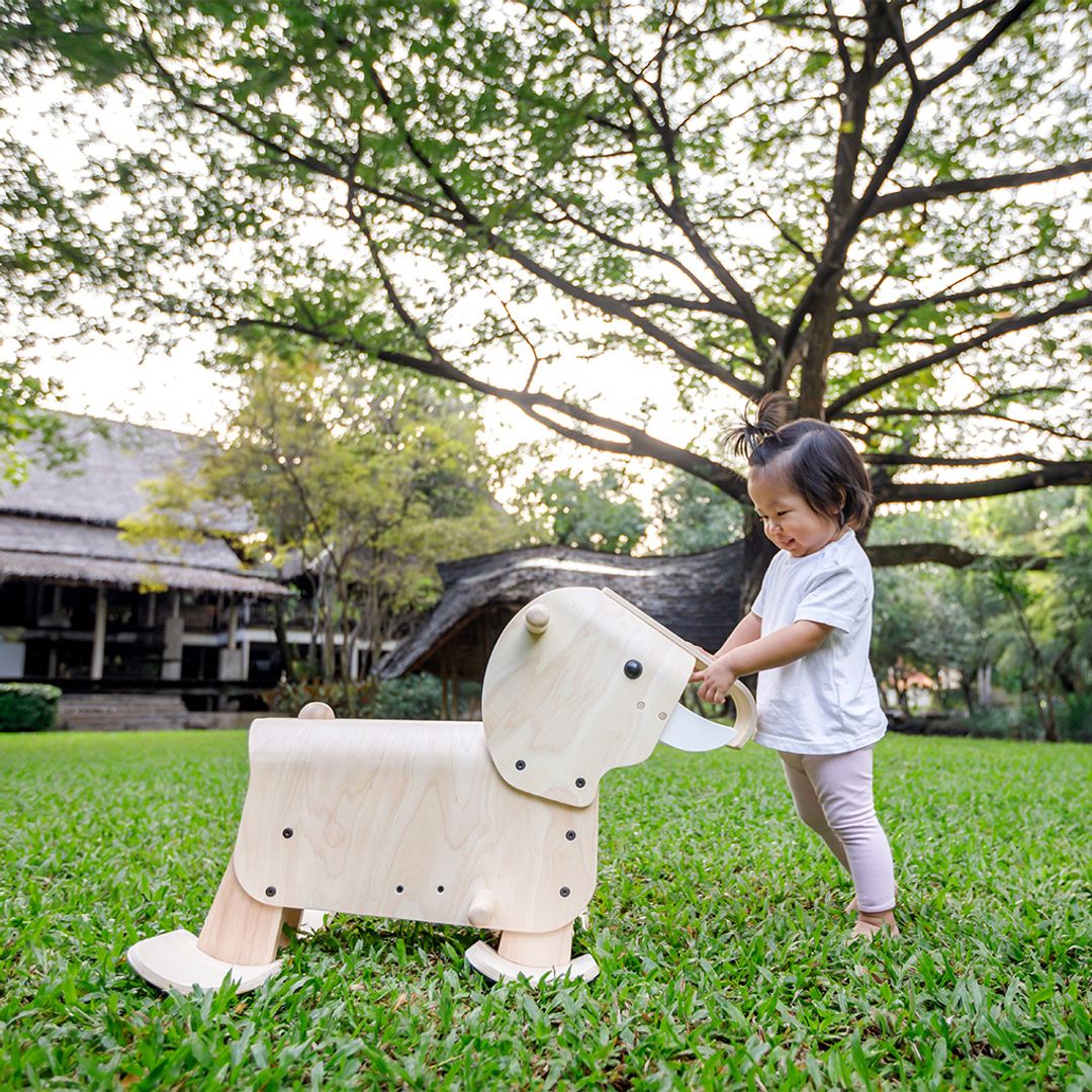 Walking Elephant Riding Toy