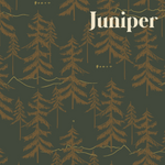 Juniper