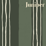 Juniper