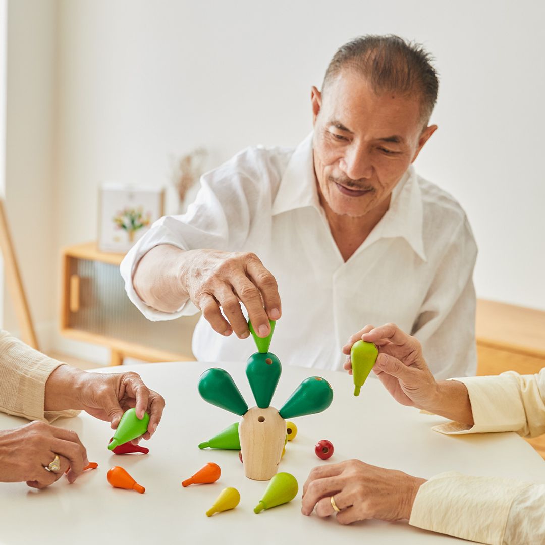 Balancing Cactus Game
