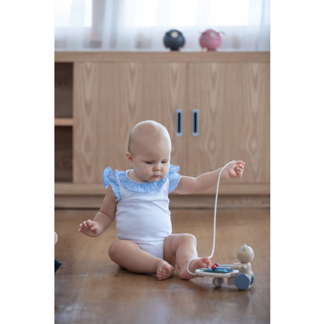 Pull-Along Musical Bear Toy