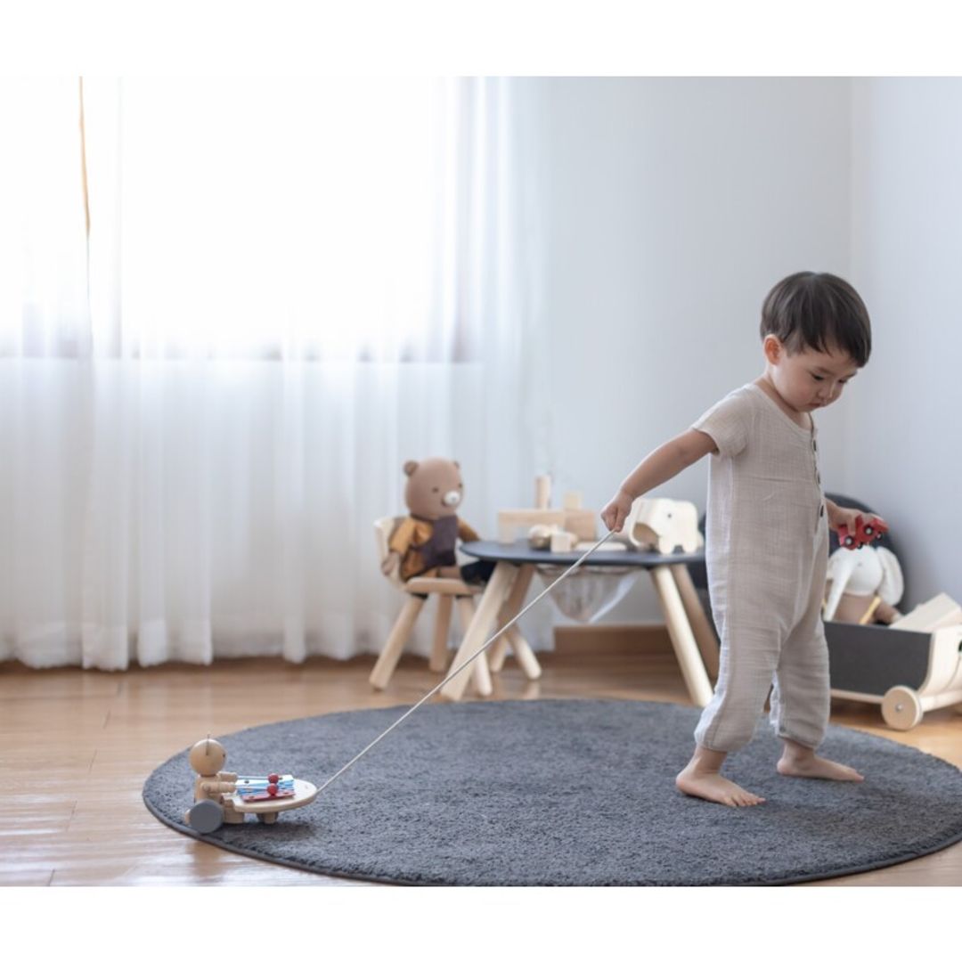 Pull-Along Musical Bear Toy