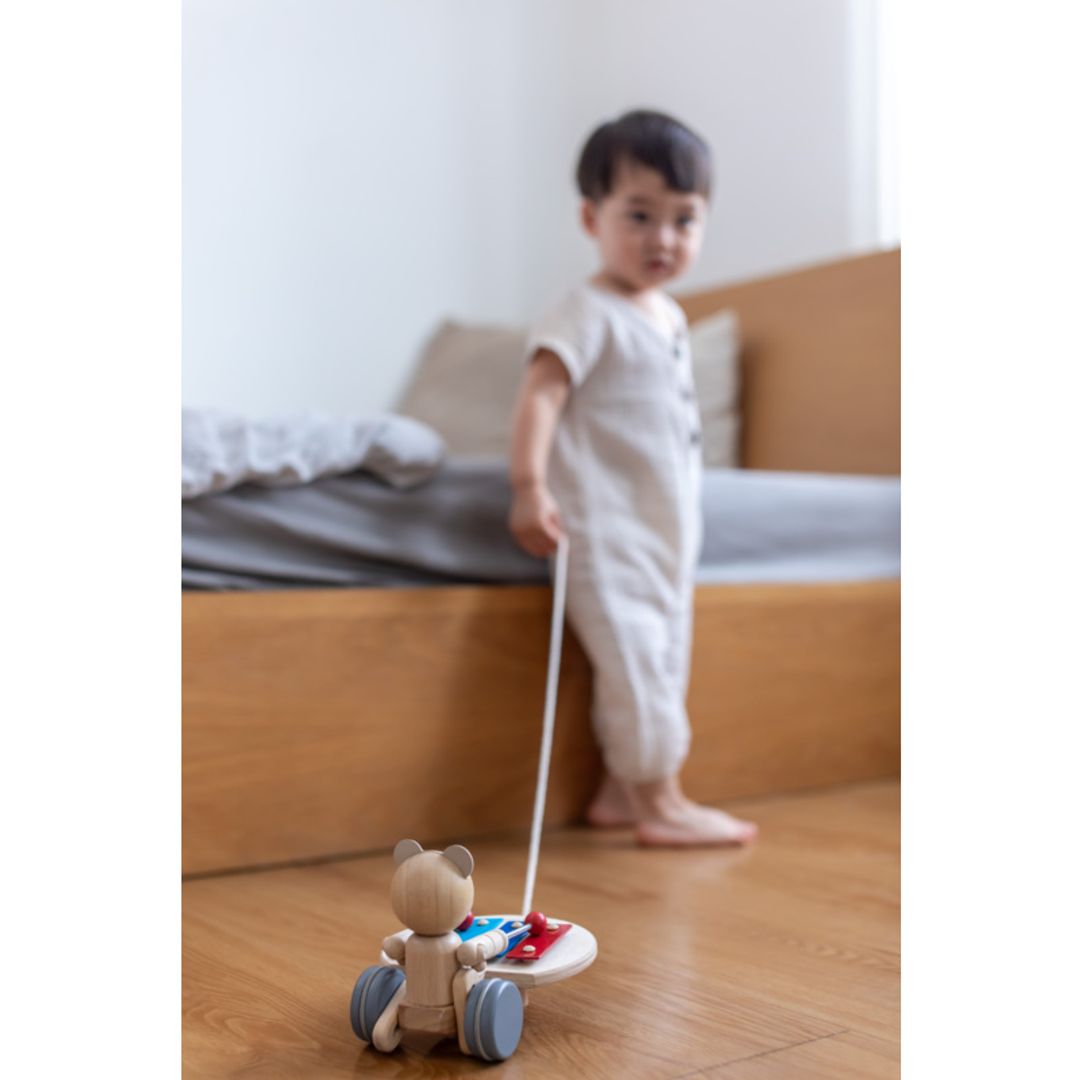 Pull-Along Musical Bear Toy