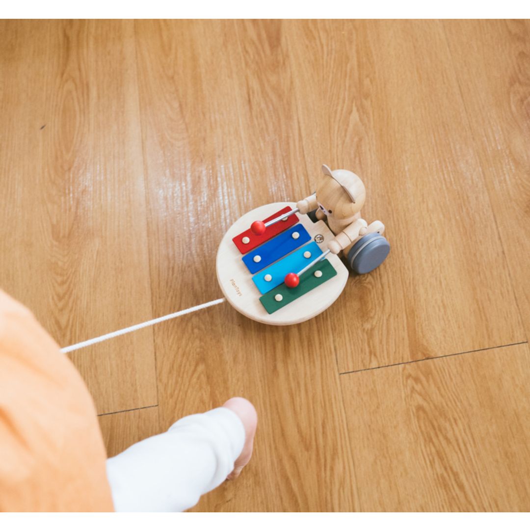 Pull-Along Musical Bear Toy