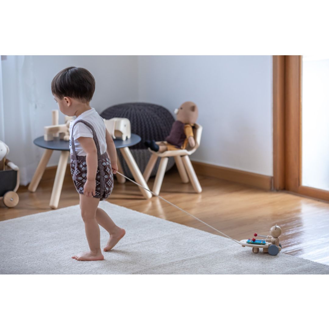 Pull-Along Musical Bear Toy