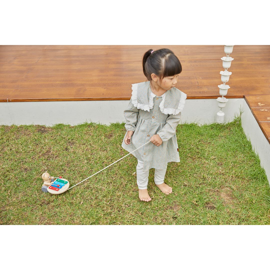 Pull-Along Musical Bear Toy