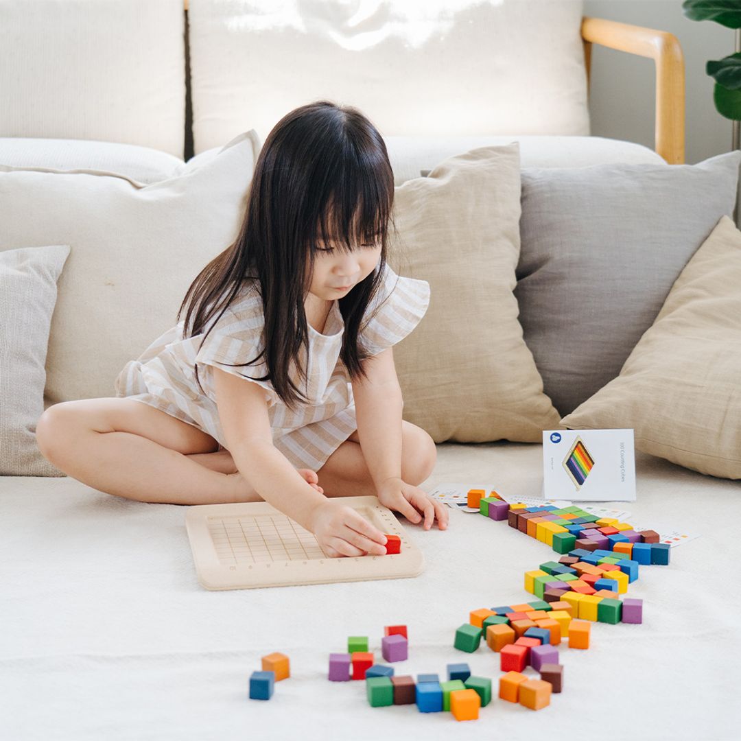 Unit Plus Counting Cubes Set