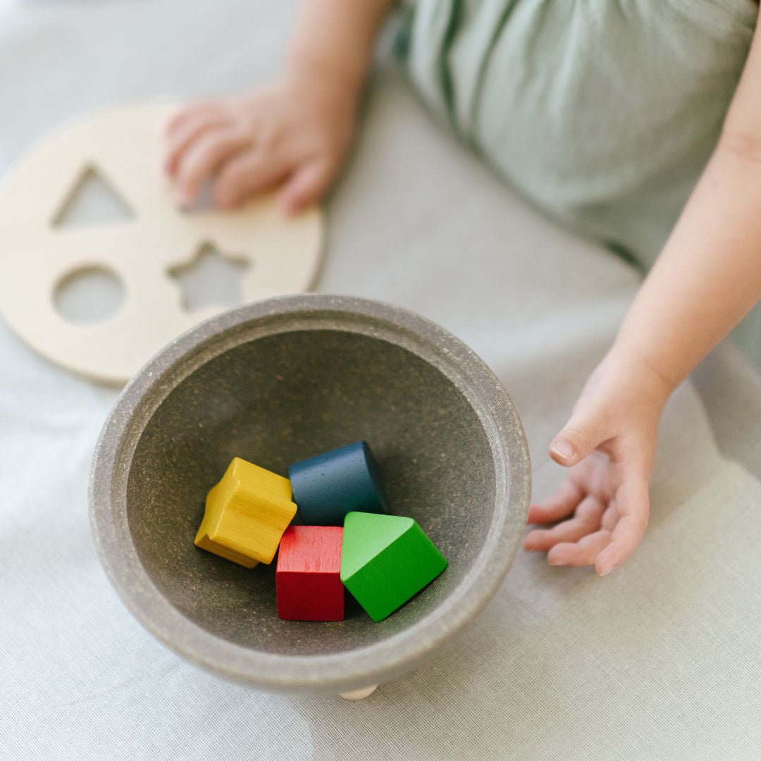 Shape Sorting Bowl Toy