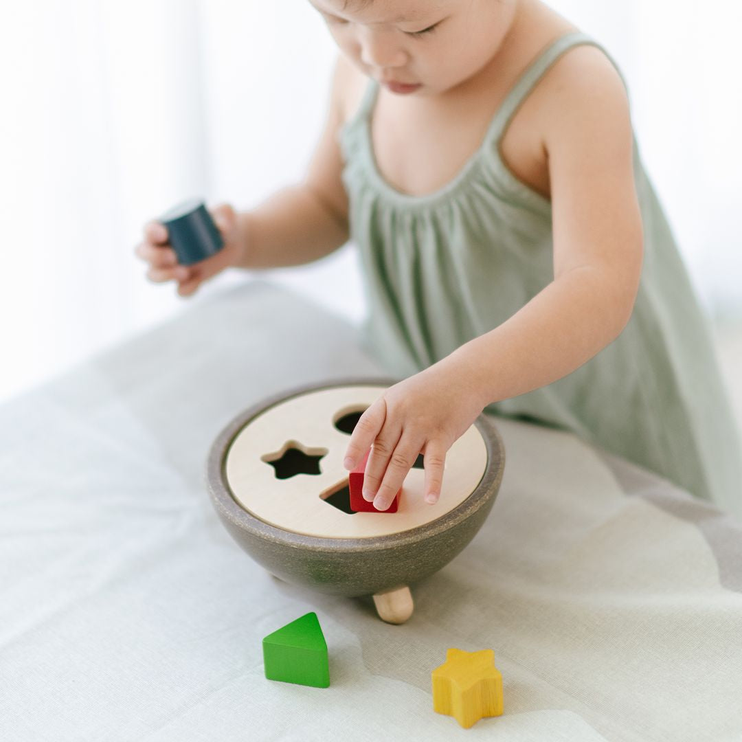 Shape Sorting Bowl Toy