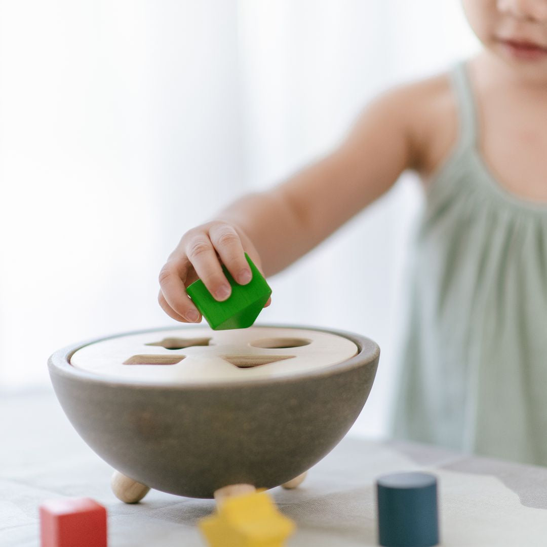 Shape Sorting Bowl Toy