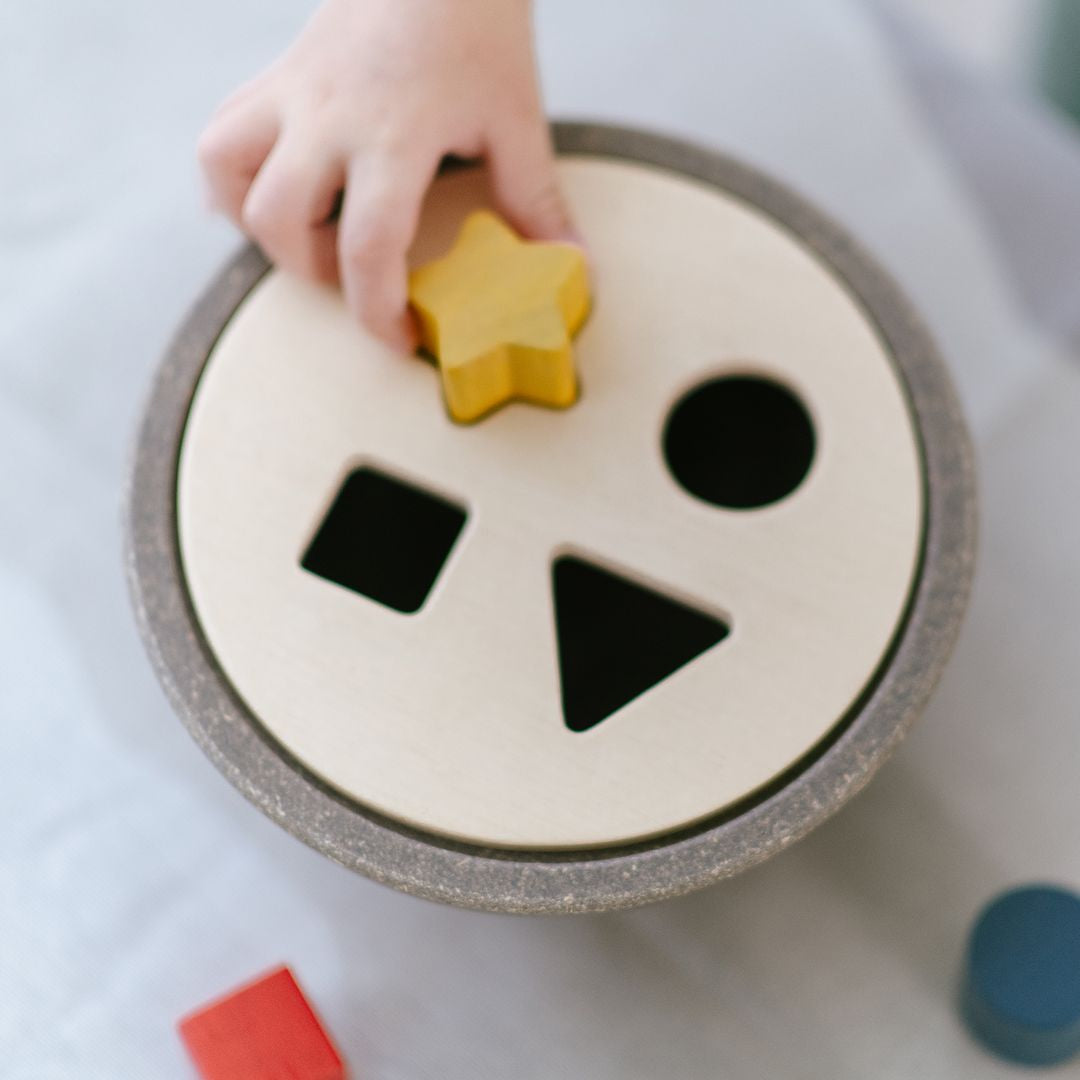 Shape Sorting Bowl Toy