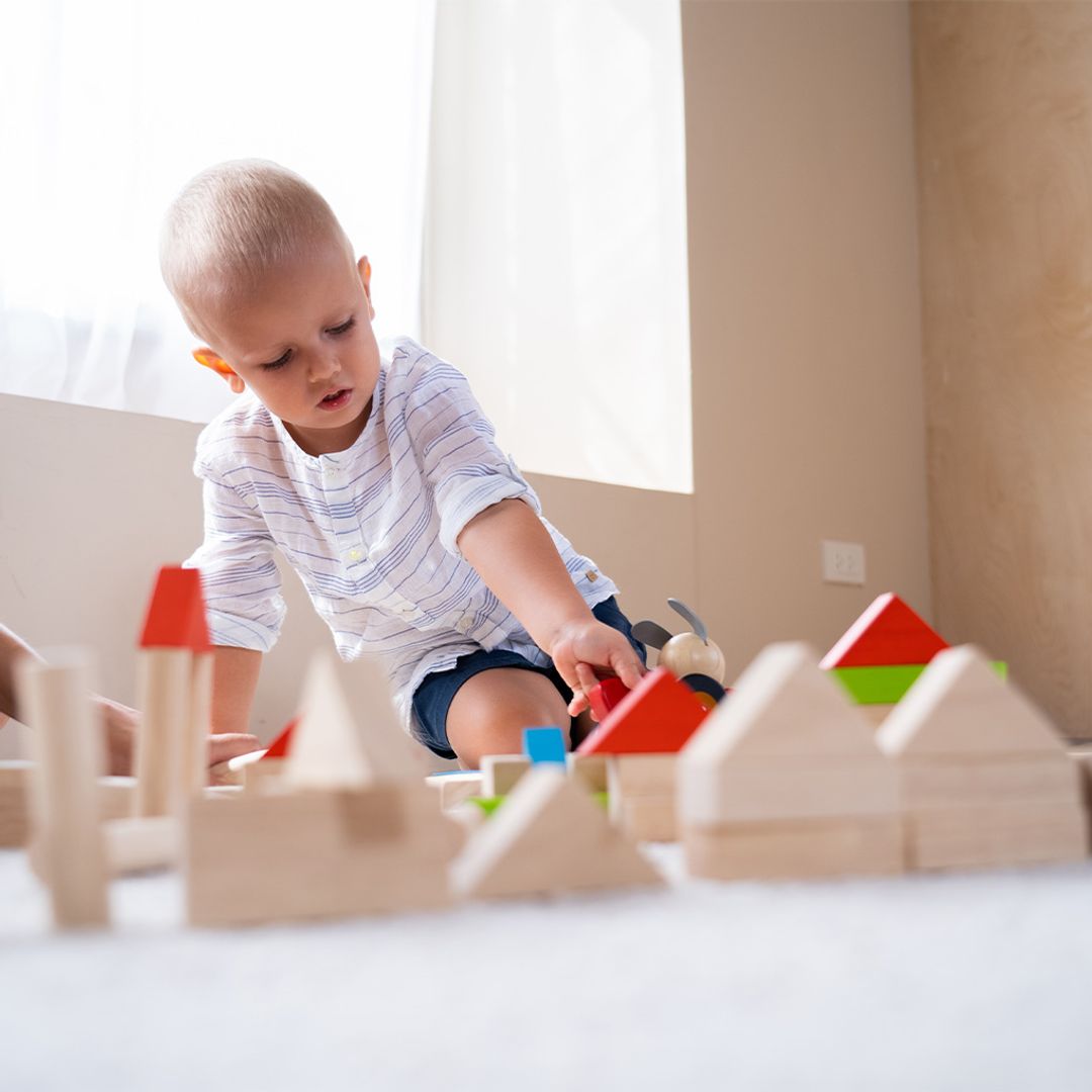 Colorful Wooden Block Set