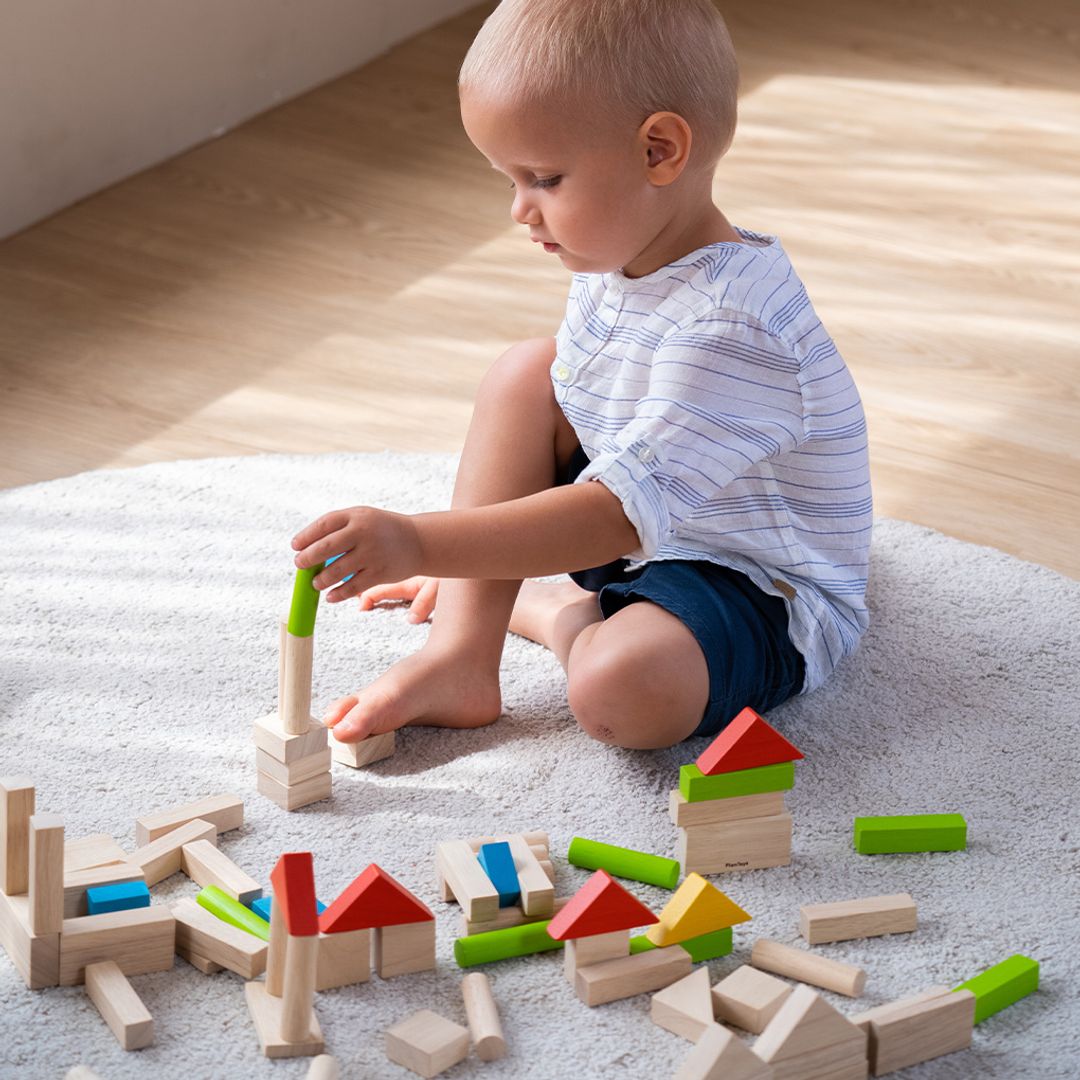 Colorful Wooden Block Set