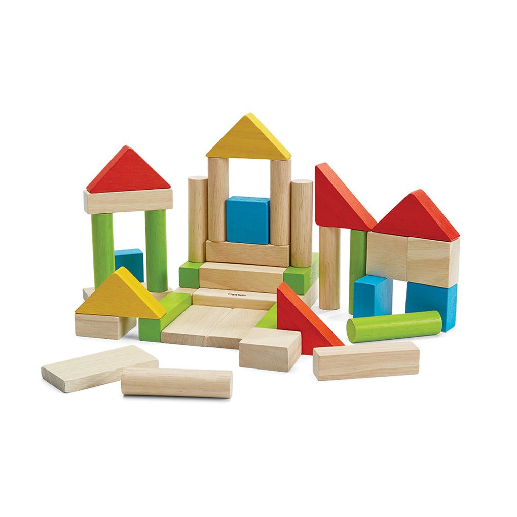 Colorful Wooden Block Set