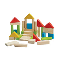 Colorful Wooden Block Set