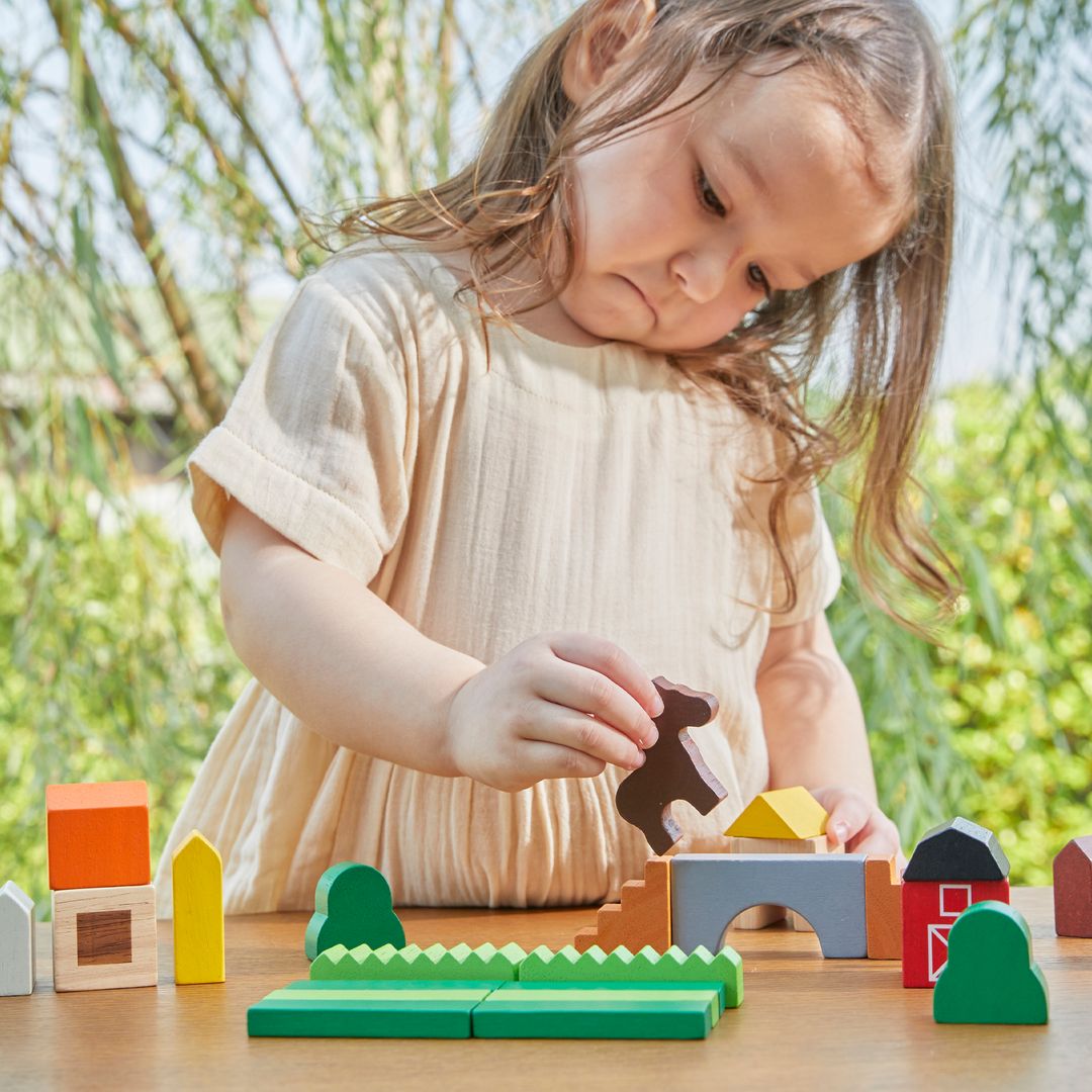 Country Block Set
