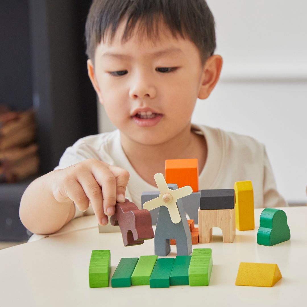 Country Block Set