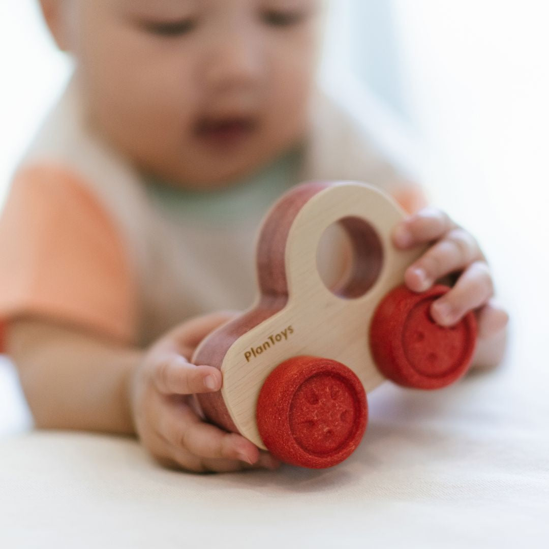 Timber Trail Cruiser Toy