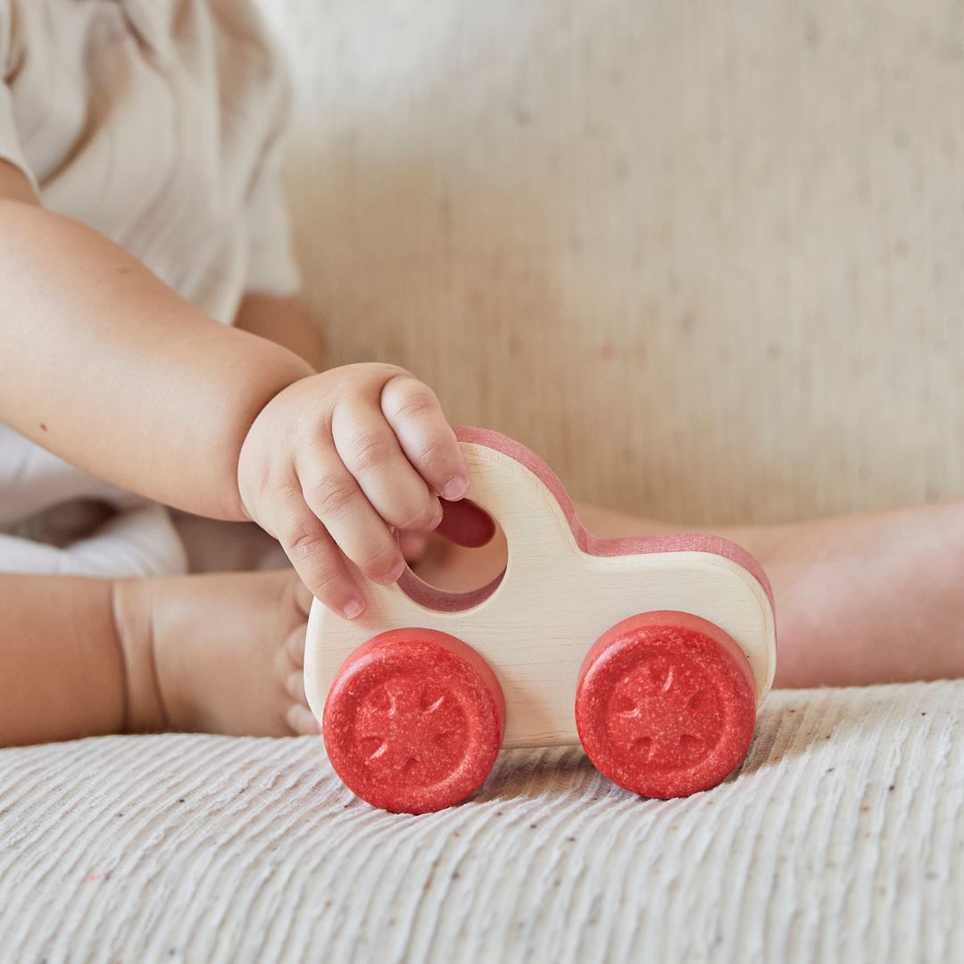 Timber Trail Cruiser Toy