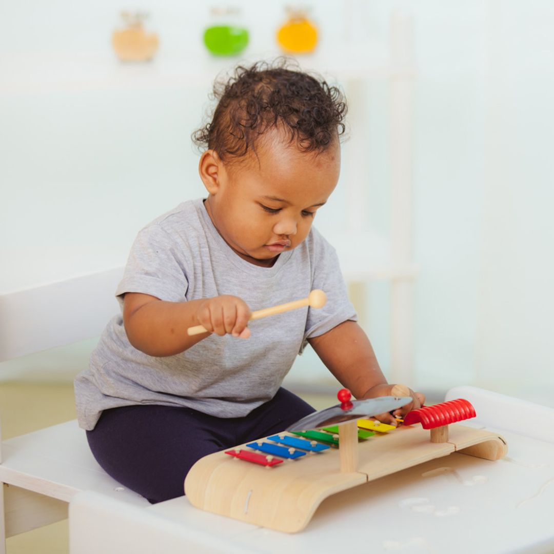 Musical Toy Set