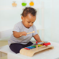 Musical Toy Set