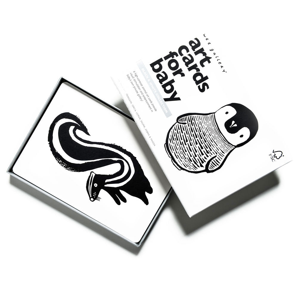 Black + White Art Cards