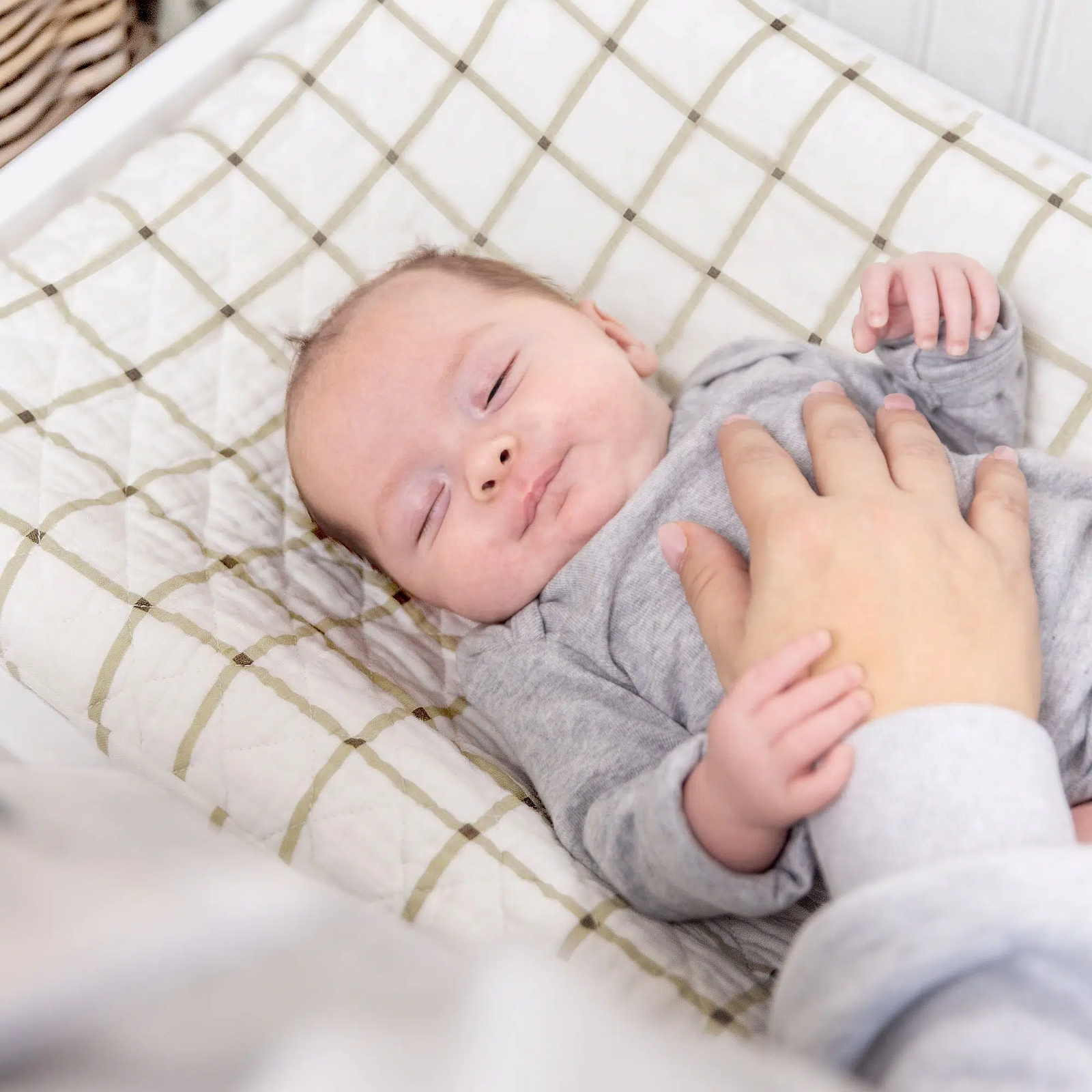 Check Changing Pad Cover