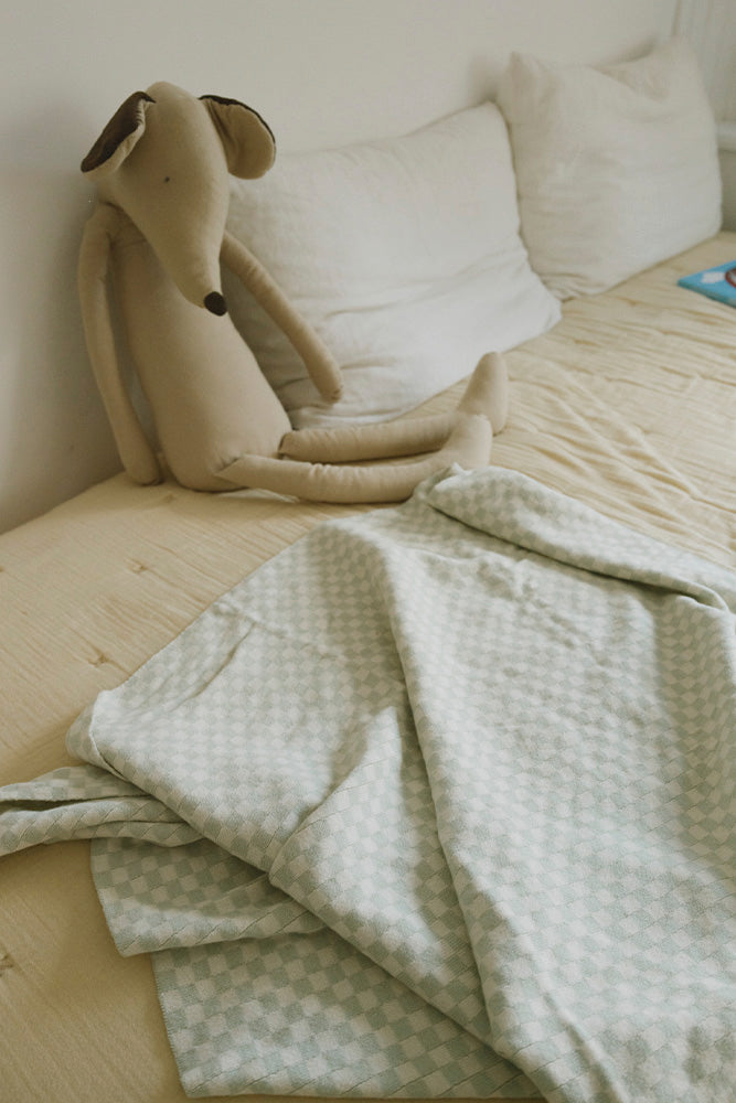 Light Blue Sage Green Checkered Throw Blanket on Kids Bed