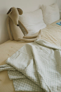 Light Blue Sage Green Checkered Throw Blanket on Kids Bed
