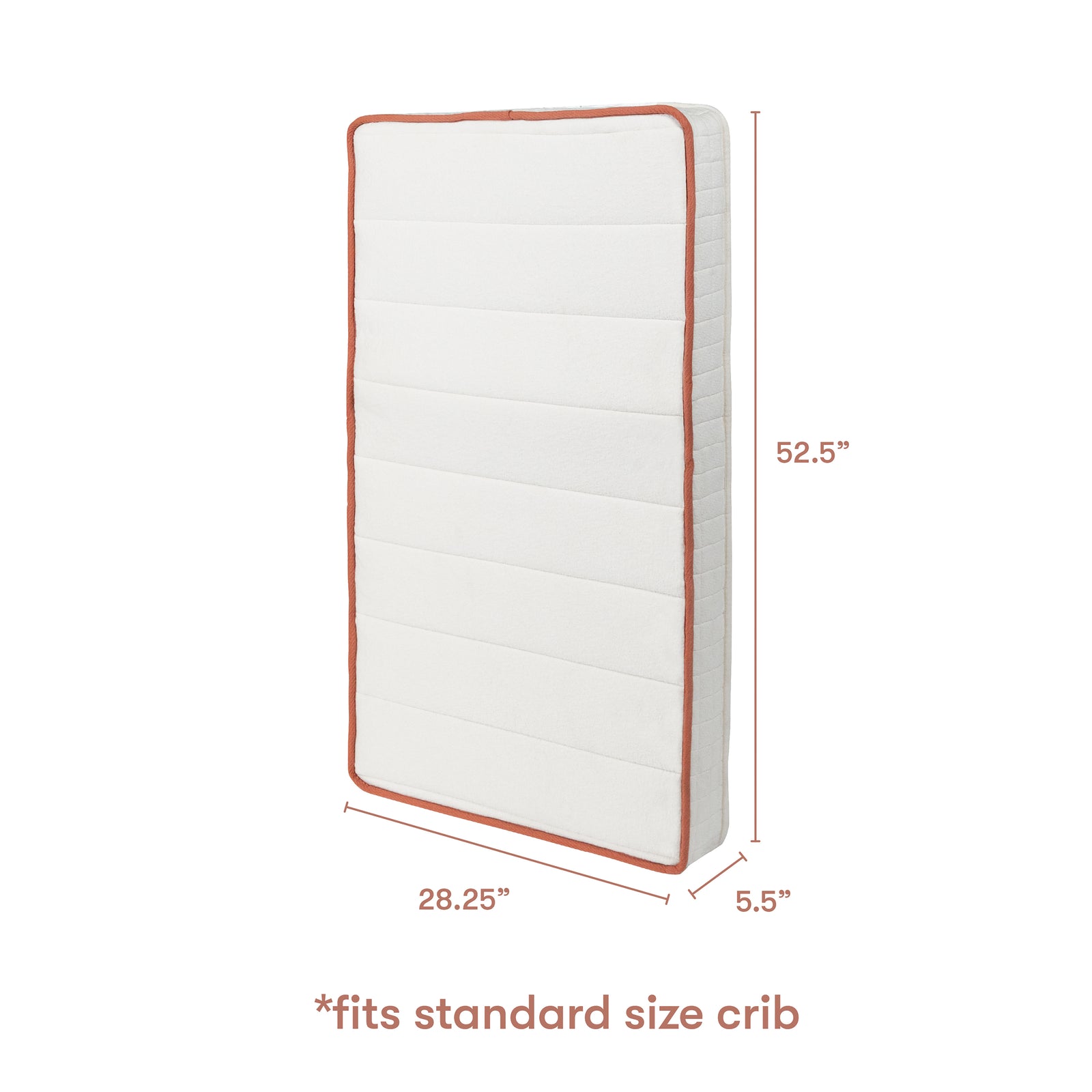 babyletto x Avocado Dual-Stage Organic Crib Mattress