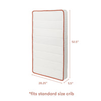 babyletto x Avocado Dual-Stage Organic Crib Mattress