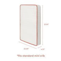 babyletto x Avocado Organic Mini Crib Mattress