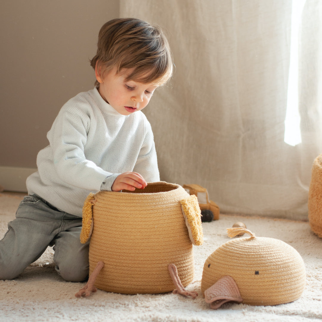 Charlie the Chicken Storage Basket
