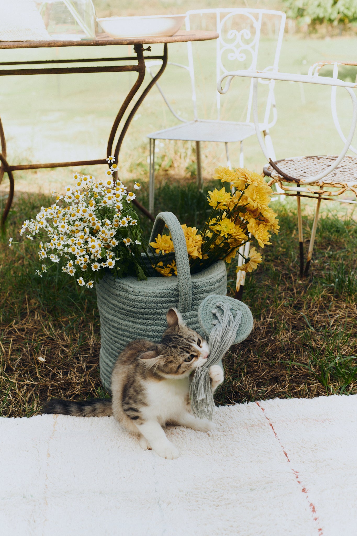 Watering Can Basket