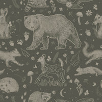 Beckett Wallpaper by Brittany Polatis Design