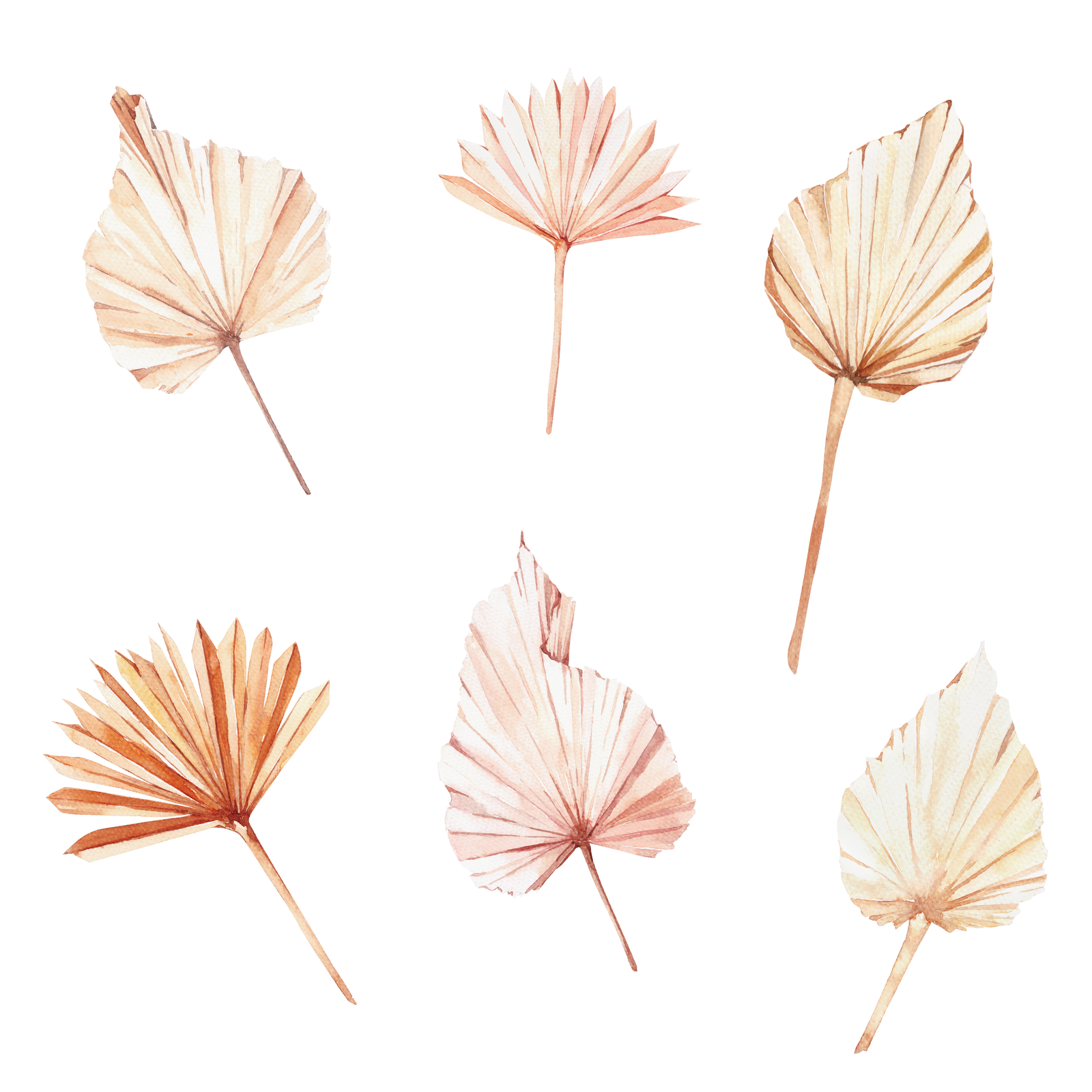 Boho Palm Wall Decals