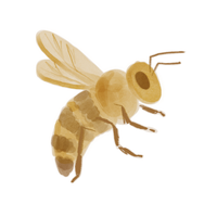 Busy Bee Wall Decal Set