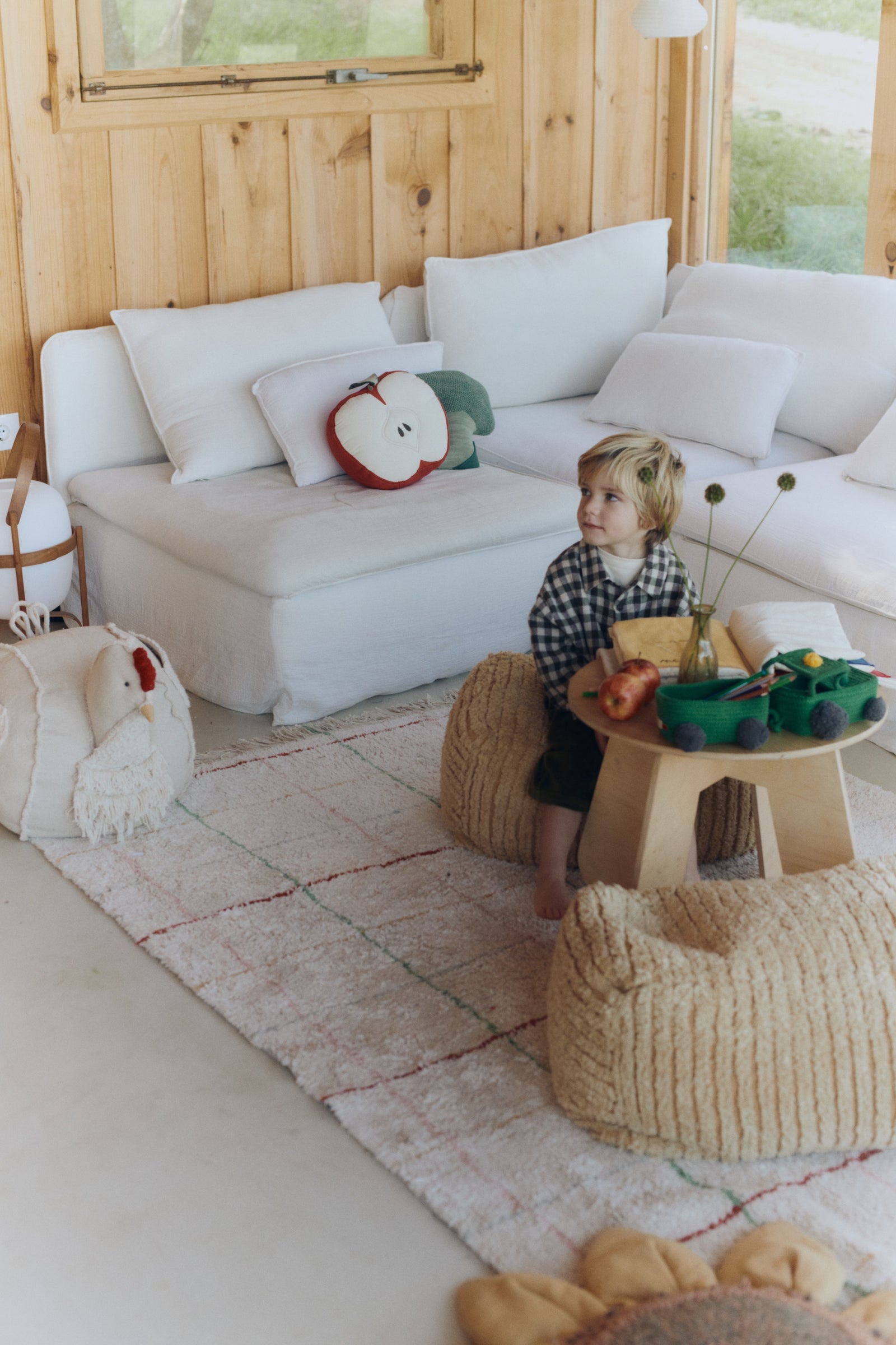 Color Lines Washable Rug