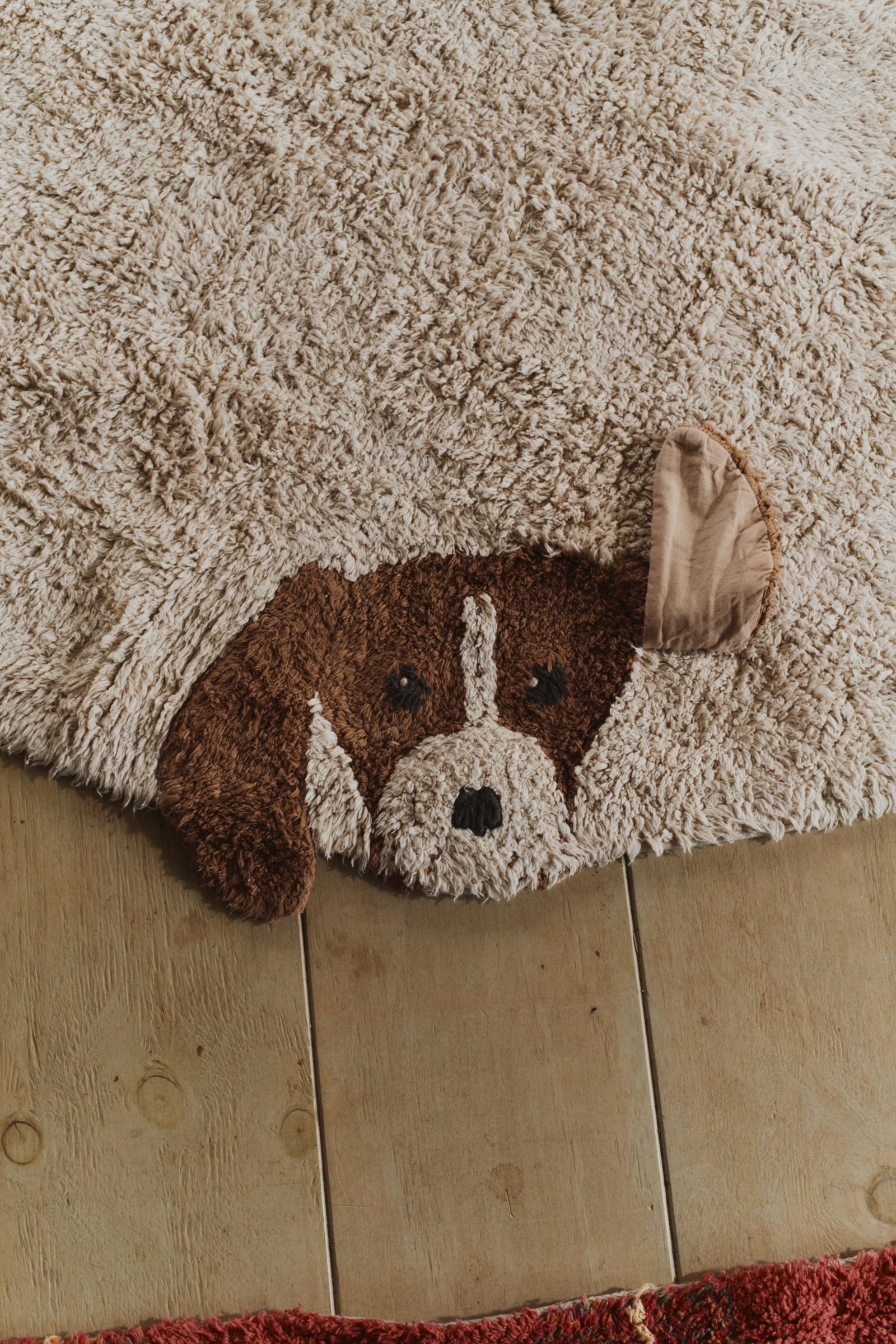 Dogs Washable Rug