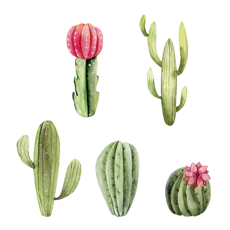 Cacti Wall Decal Set