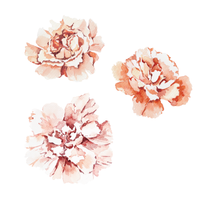 Carnation Wall Decal Set